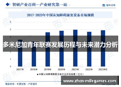 多米尼加青年联赛发展历程与未来潜力分析