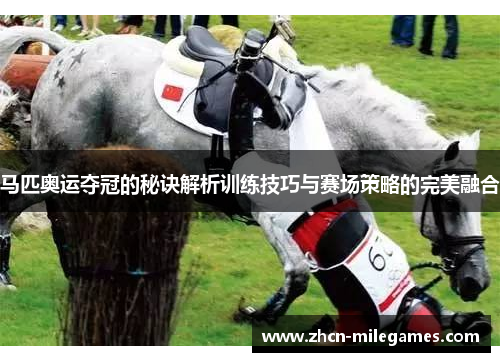 马匹奥运夺冠的秘诀解析训练技巧与赛场策略的完美融合 马匹奥运夺冠的秘诀解析训练技巧与赛场策略的完美融合